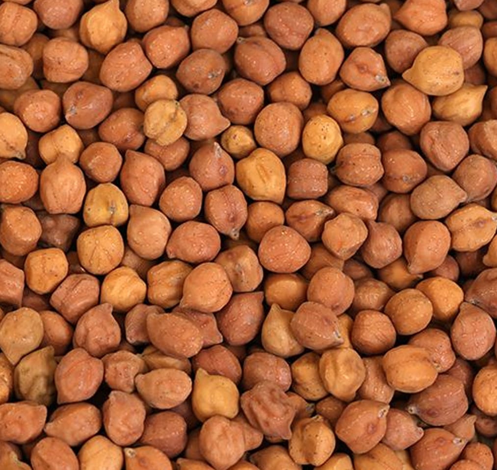 Exporter of chickpeas