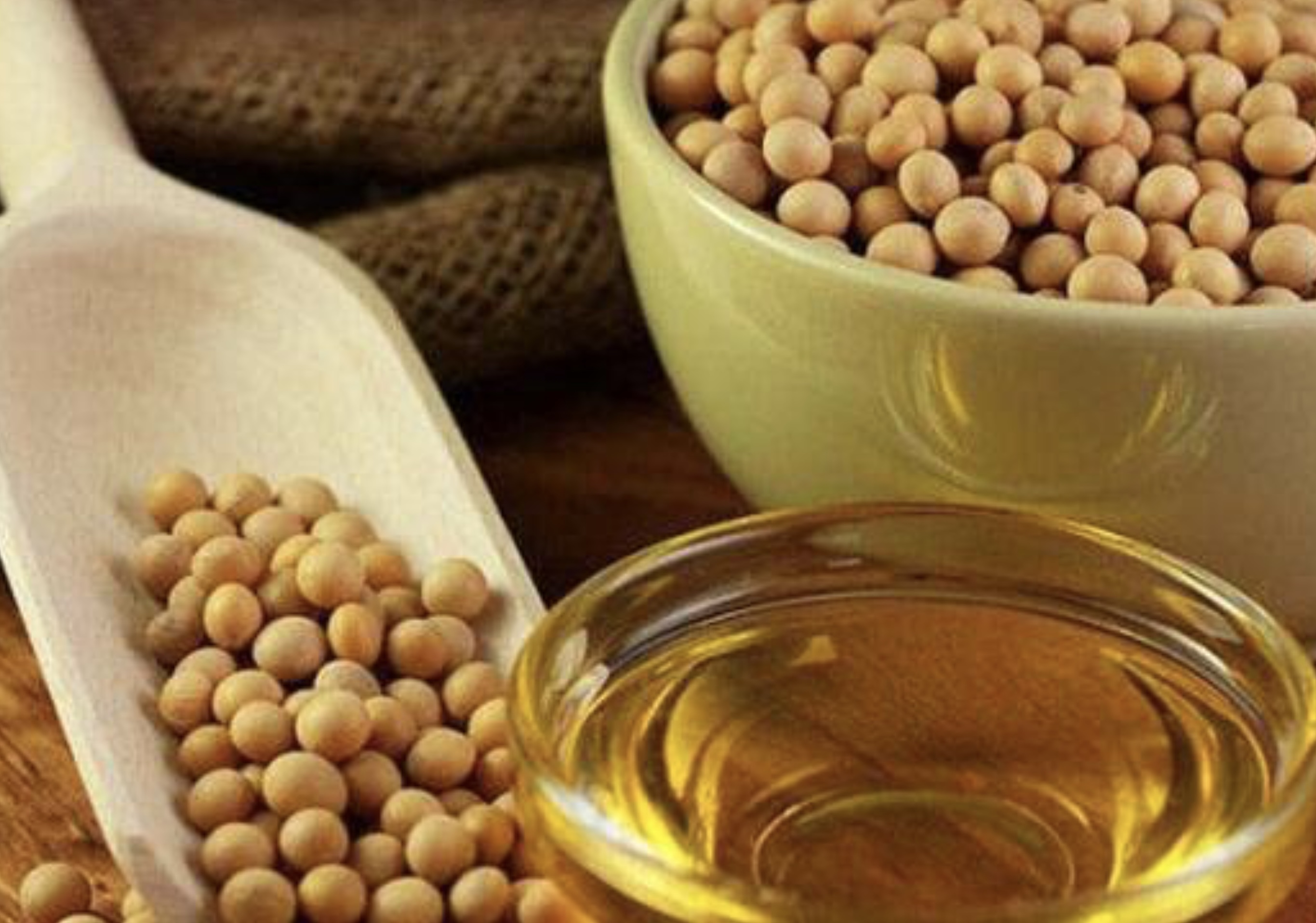 Refined Soybean Oil for Sale | Bulk Edible Oil